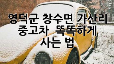 영덕군 창수면 가산리 중고차 🚗 똑똑하게 사는 법
