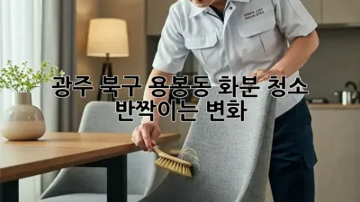 광주 북구 용봉동 화분 청소, ✨반짝이는 변화!