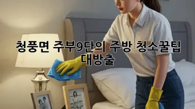 청풍면 주부9단의 ✨주방 청소✨꿀팁 대방출! 🧽